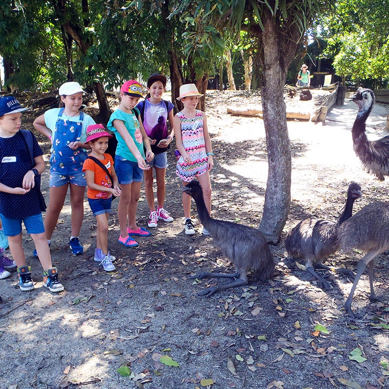 junior keepers school holidays program wildlife habitat port douglas