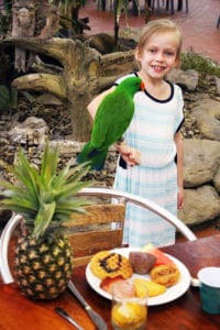 little girl holds parrot at breakfast with the birds at wildlife habitat port douglas