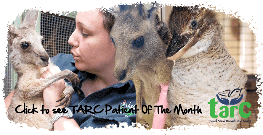 tarc patient of the month