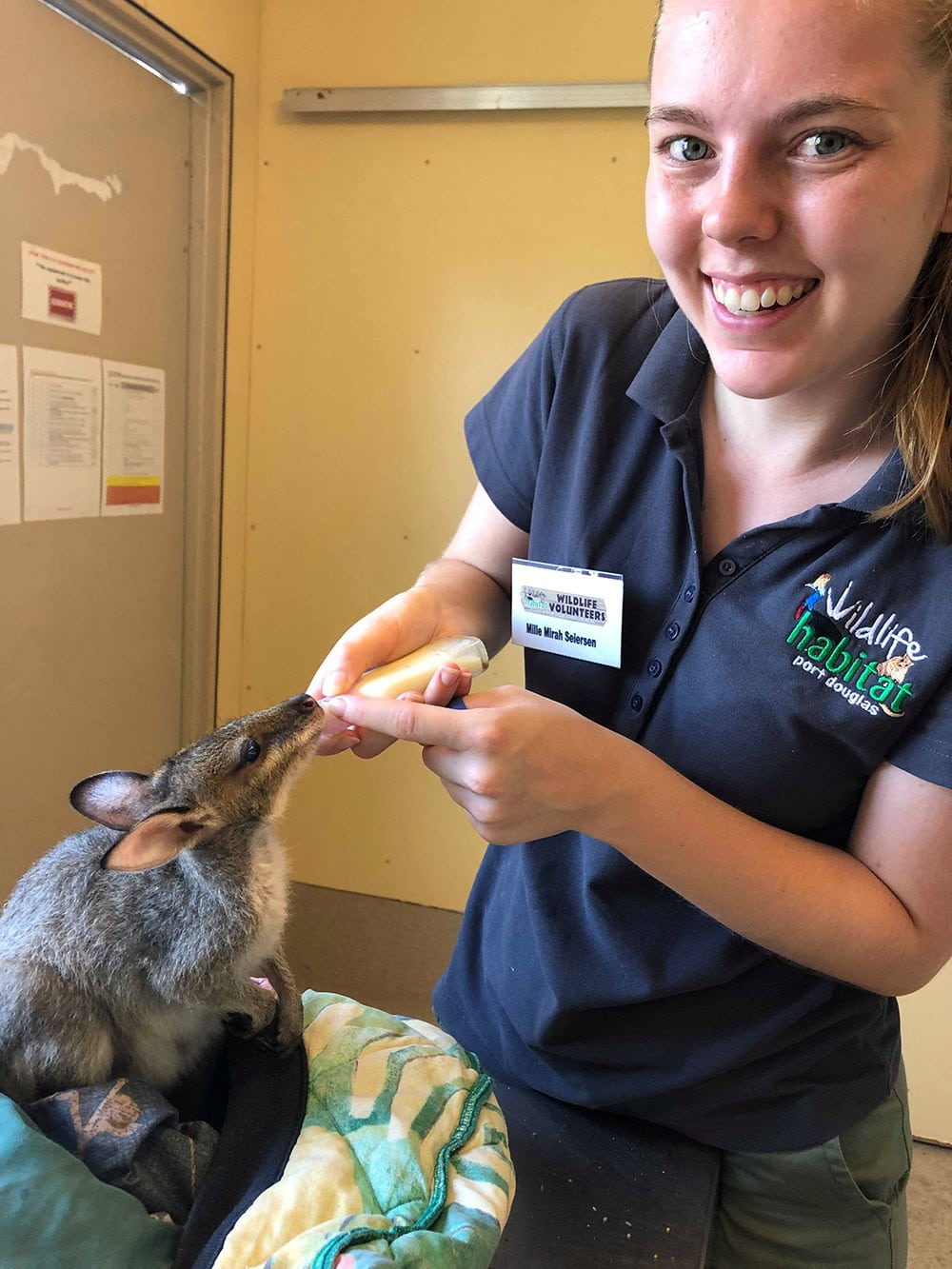 volunteer in TARC tropical animal rehabilitation centre volunteer with animals in australia
