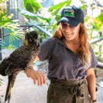 volunteer with wildlife in Australia girl with cockatoo