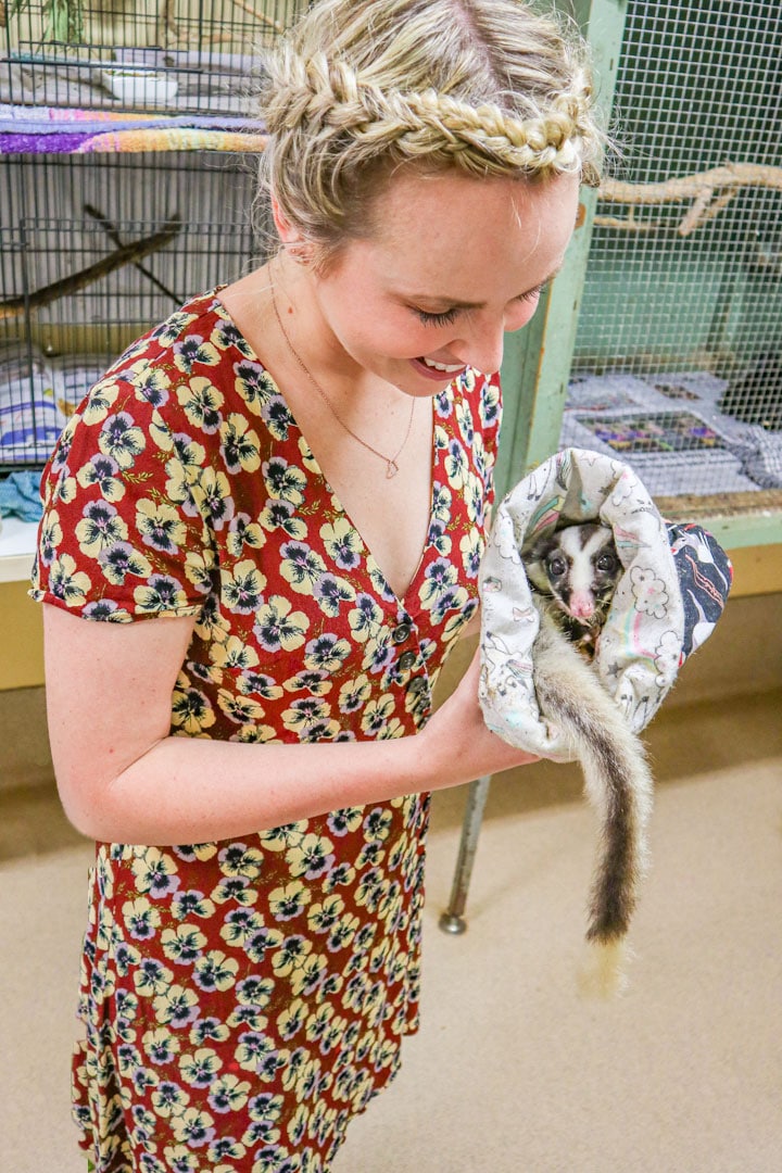 port douglas private tour tropical animal rehabilitation centre