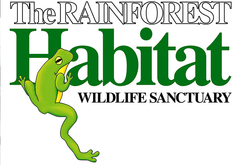 the rainforest habitat wildlife habitat port douglas
